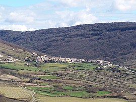 A general view of Saint-Pons