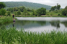 Sky Meadows State Park.