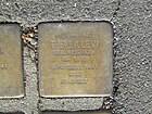 der Stolperstein für Thekla Levi