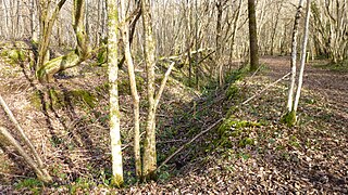 ... among slag mounds