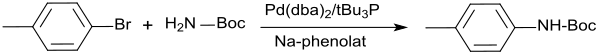 Amidierung von Halogenaromaten mit tert-Butylcarbamat (Buchwald-Hartwig-Kupplung)