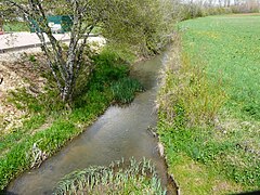 Le Trincou à Villars, en amont du pont de la RD 68