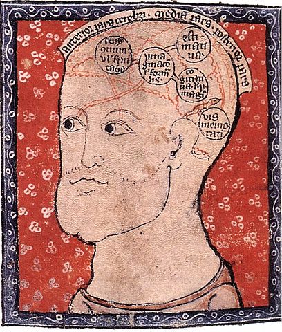 http://upload.wikimedia.org/wikipedia/commons/thumb/f/fe/14th-century_painters_-_Diagram_of_the_brain_-_WGA15761.jpg/408px-14th-century_painters_-_Diagram_of_the_brain_-_WGA15761.jpg