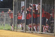 Japanese players cheer on their team during the first game on Wednesday night. Image: Laura Hale.