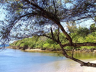 Beach at Palmas Altas