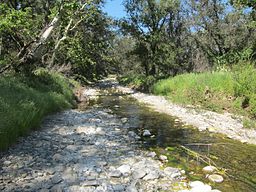 Bell Creek at Caspers Park.JPG