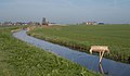 Ditch in the polder landscape near the village