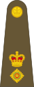 British Army OF-4.svg