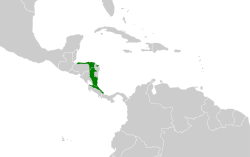 Distribución geográfica del cotinga níveo.