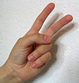 2 – Zeigefinger und Mittelfinger sind gestreckt und bilden ein V (wie beim Victory-Zeichen)