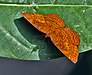 In Kolkata, West Bengal, India.