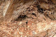 Cueva de los Lletreros, arte rupestre n'Almería.