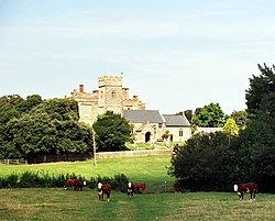 Stone building with square tower amongst trees. In the foreground are cows in a field.