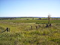 Fences on the Darling Downs, Queensland