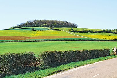 Le sommet du Mont, qui sert de limite de commune entre Fontangy et la Motte-Ternant.