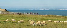 The Strait of Dover viewed from France, looking towards England. The white cliffs of Dover on the English coast are visible from France on a clear day. FranceGrisNez2Dover.jpg