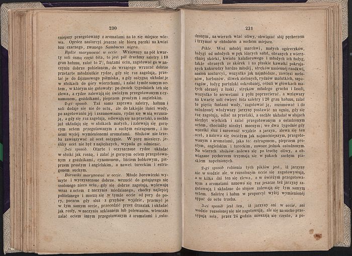 Przepisy na marynowanie grzybów z książki Anny Ciundziewickiej „Gospodyni litewska”. Zwraca uwagę wykorzystanie ałunu i saletry jako konserwantów[50].