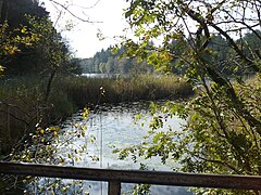 Abfluss der Ischler Achen aus dem Schloßsee