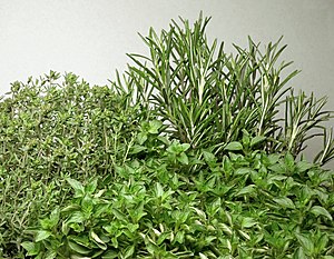 Herbs: Thyme, oregano and rosemary