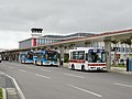 新石垣空港に止まるカリー観光と東運輸(12/26)