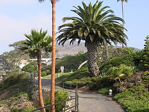 Paradise Walk yn Laguna Beach