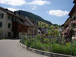 Lauwil