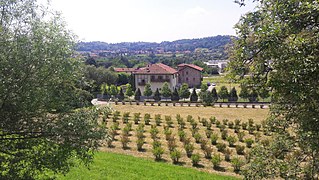 Catello (Sant'Andrea Vecchio)