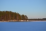 Pienoiskuva sivulle Majasaari (Muurame, Päijänne)