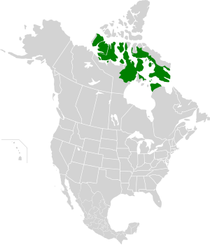 Ecoregion territory (in green)