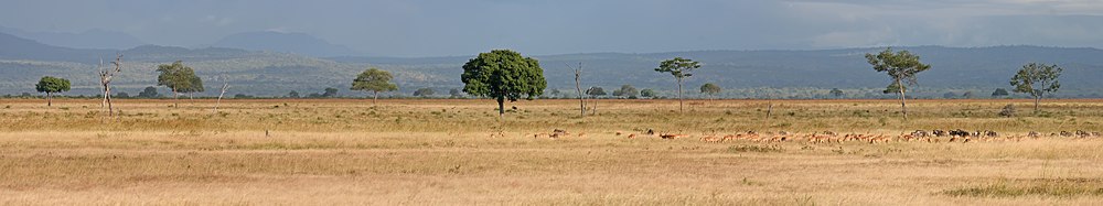 Landschap van Mikumi