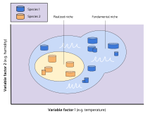 Graph depicting how a realized niche fits within a fundamental niche depending on varying abiotic factors Model of ecological niche.svg