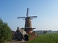 Wind mill De Korenhalm
