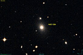NGC 1284 DSS.jpg