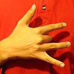 The "Open8" handshape produced with the the back of the hand facing the camera