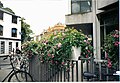A picture of a floral display in Oxford city centre in the year 2001.