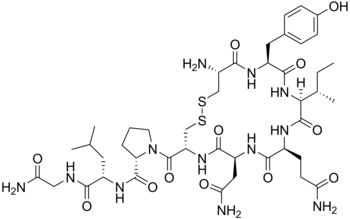 chemical structure of oxytocin