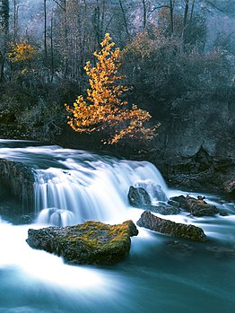 Una je reka u zapadnom delu Bosne i Hercegovine; u donjem delu svog toka protiče kroz Republiku Srpsku i granična je reka sa Hrvatskom. Pored reke raste i gotovo 200 različitih vrsta lekovitih biljaka, a retka biljka „unska zvončica“ dobila je ime upravo po reci Uni