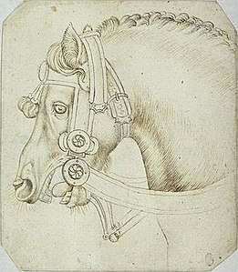 Hoofd van een paard, inv. 2362, ca. 1433-1438, pen en potlood op papier, 21 × 16