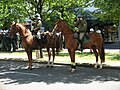 leider noch nicht verwendet, auf einer NPD-Demo in Braunschweig