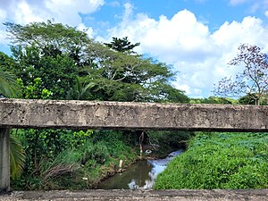 Bucarabones River from PR-819 bridge