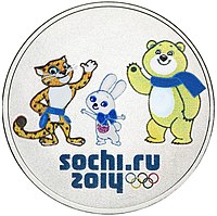 XXII. Zimske olimpijske igre – Soči 2014.