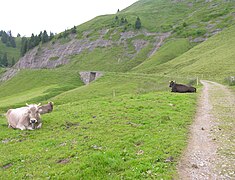 The right of way of the railway, in 2009