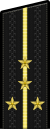 Russia-Navy-OF-2-2010.svg