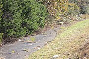 Old SR 10 Along State Forest