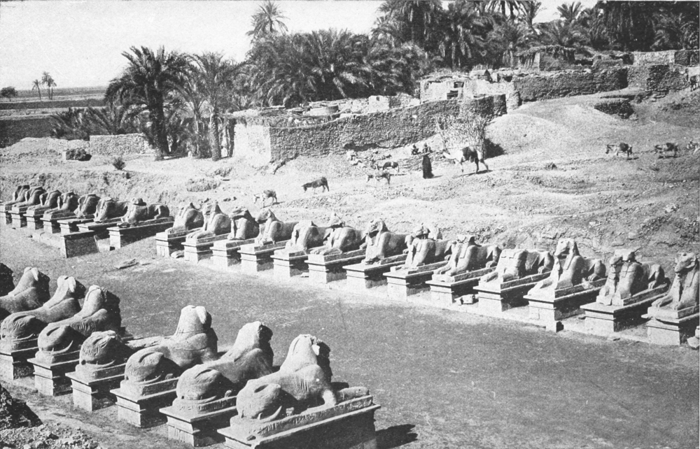A photograph of the Avenue of Ram-headed Sphinxes, Karnak