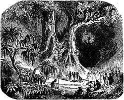 in an ominous and dark tropical forest, a person lays on the ground, surrounded by men with spears, as a crowd looks on