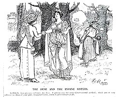 1913 Western Mail cartoon by J. M. Staniforth reflecting views towards the more militant arm of women's suffrage groups The Sane and Insane Sisters.jpg