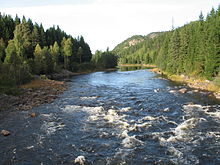 Foto eines Flusses, dessen Uferseiten bewaldet sind