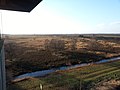 NSG Neustädter Moor, Blick vom Aussichtsturm