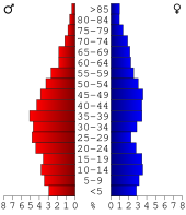 Bevolkingspiramide Hancock County